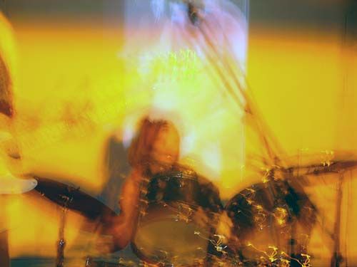 the art of skinlessness , scott batty, emiko ota